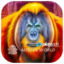 PLAYTECH132